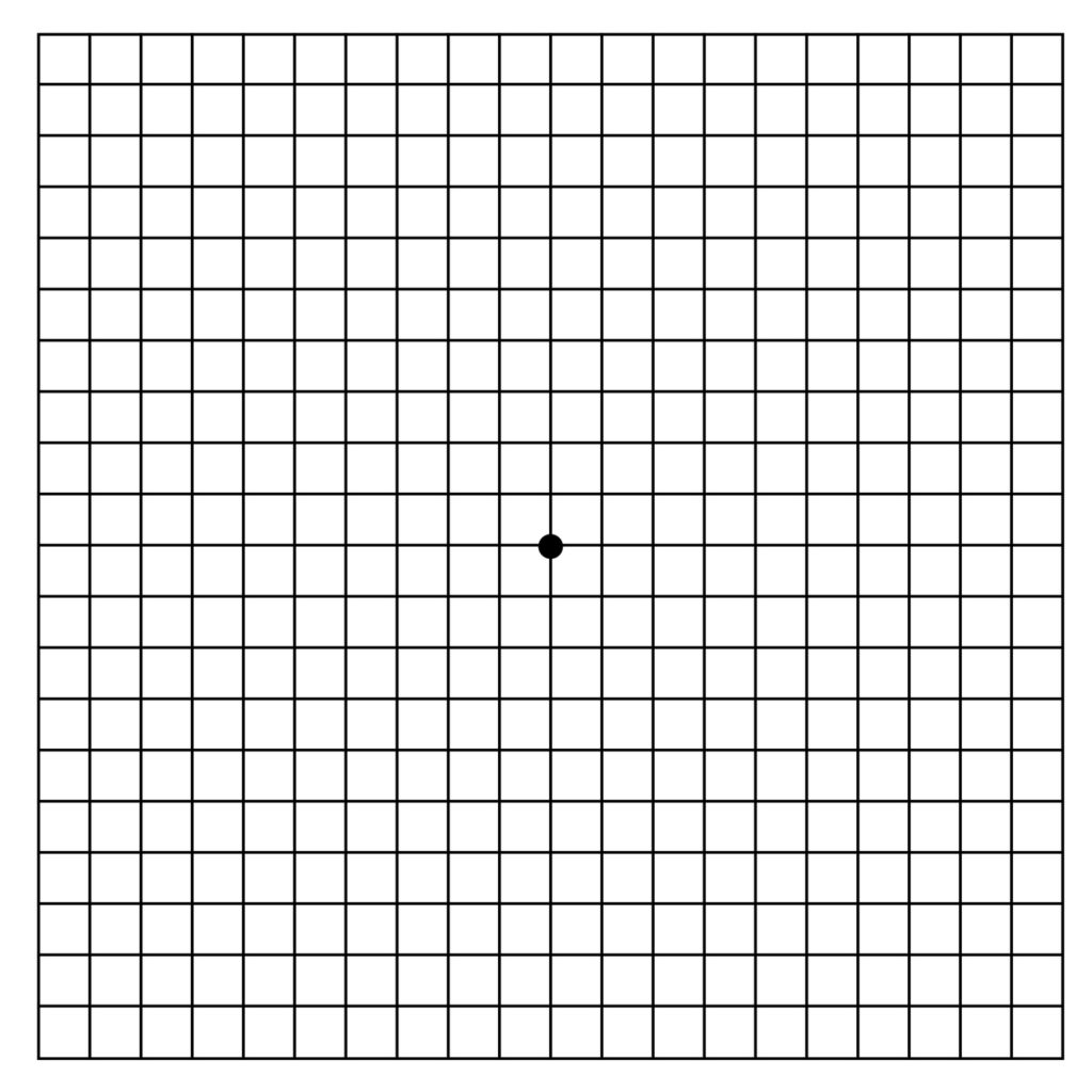 Monitoring Your Vision: How the Amsler Grid Vision Test Gives Insights ...